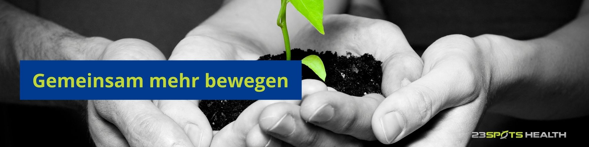 Berufseinstieg Physiotherapeut